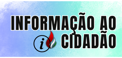 PORTAL DA TRANSPARÊNCIA (2)